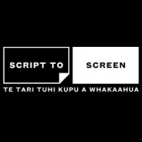 Script to Screen logo - Similar company to Pyt Fairfield