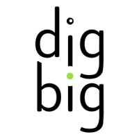 Digbig Llc