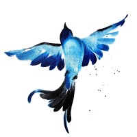 Blackbird Therapy