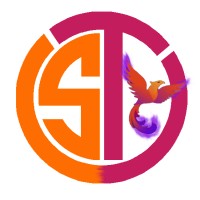 Shreetech Hub logo - Similar company to Bigit
