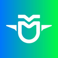 Elven logo - Similar company to Estabilis