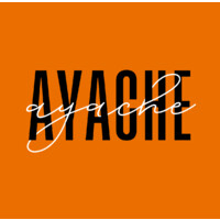 AYACHE logo - Similar company to Ll Berg