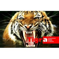 TIGRABusiness logo - Similar company to L'Immo De L'Ovalie