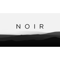 Noir Corp logo - Similar company to Meridian Express