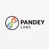 Pandey Labs logo - Similar company to Farebulk