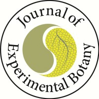 Journal of Experimental Botany logo - Similar company to Phytotherapy International