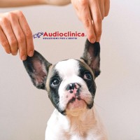 Audioclinica SRL logo - Similar company to Invisiben