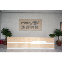 Merrytek-Sensor and Smart Lighting and Building Control logo - Similar company to Sunrise Big Data