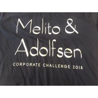 Melito & Adolfsen PC logo - Similar company to Adolfsen Group