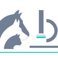 VETODIAG logo - Similar company to Animal Diagnostic Sarl