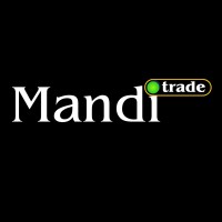Mandi.trade logo - Similar company to Infoware Studios