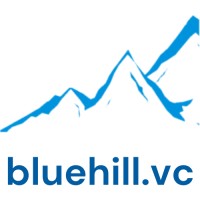 Bluehill.vc logo - Similar company to In44 Capital