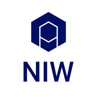 NIW Vietnam logo - Similar company to Cyberpunks