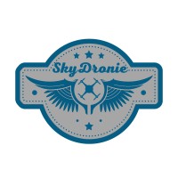 SkyDronie logo - Similar company to Mvmarketing