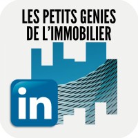 Page - Les petits génies de l'immobilier #LPGI logo - Similar company to Studio Ymô