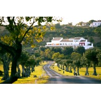 Vila Valverde Design Country Hotel logo - Similar company to Pedras D'El Rei