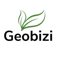 Geobizi logo - Similar company to D&A Innovative Systems Sl