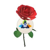 P.o.b Rose