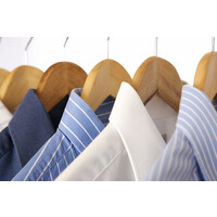 Master Cleaners
