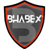 BHABEX TECHNOLOGIES PRIVATE LIMITED logo - Similar company to Insight Skill Academy