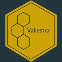 Vallestra logo - Similar company to Spring Solutions