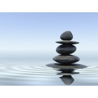 Mindfully Integrated Health PLLC logo - Similar company to Core Recovery Az
