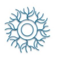 IDenTT Bio logo - Similar company to Lempo Therapeutics Ltd.