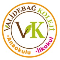 Özel Validebağ Koleji logo - Similar company to Validebağ Koleji