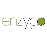 Enzygo logo - Similar company to Aval Consulting Group