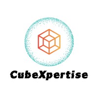 CubeXpertise | Expérience-stratégique logo - Similar company to Impactful Msp