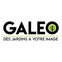 Galeo