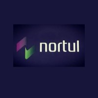 Nortul logo - Similar company to Technology Designer