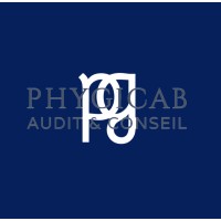 PHYGICAB AUDIT & CONSEIL logo - Similar company to 3L Expert