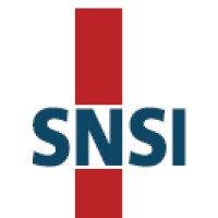 SNSI Group logo - Similar company to Datapro Consulting