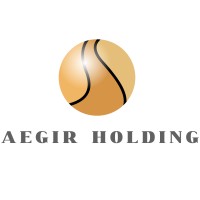 AEGIR Holding logo - Similar company to Aegir Consulting Ab