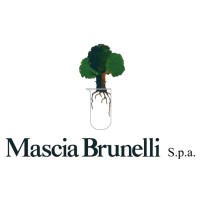 Mascia Brunelli S.p.A.  - Medical Division logo - Similar company to Higher Project