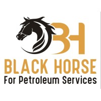Black Horse For Petroleum Services & Pipes Trading logo - Similar company to Etidel Coaching & Consulting