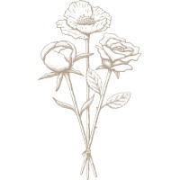 Bloom Organics, LLC logo - Similar company to Bloomorganicbazaar