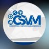 Igm Consultoria Csvm