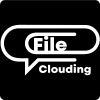 FileClouding logo - Similar company to Freelancer Hasan