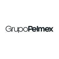 Grupo Pelmex da Amazônia LTDA logo - Similar company to Prodormir Oficial