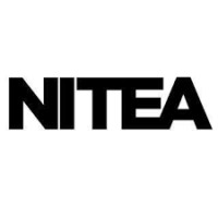 NITEA logo - Similar company to Nitea It Solutions