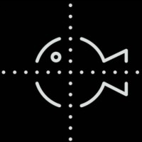 spotonfish logo - Similar company to Fusionpay Limited