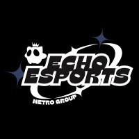ECHO Esports logo - Similar company to Kanban Zone