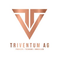 Triventum AG logo - Similar company to Fleetctrl.