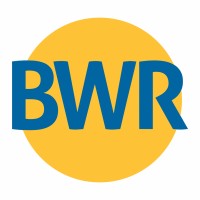 Bharat Wire Ropes Ltd logo - Similar company to Bansal Steel & Power Limited (Formerly Known As Garg Inox Ltd.)