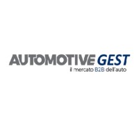 Automotivegest logo - Similar company to Conformgest S.P.A.