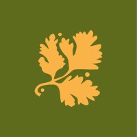 Studio Coriander logo - Similar company to Bear-Ship Media