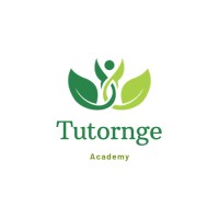 Tutornge Academy logo - Similar company to Qubit Investment Technology