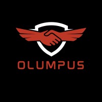 Olumpus Group logo - Similar company to Olympus Infotech, Llc